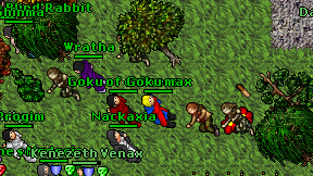 Guaritoto on screen