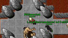 Pitimaciek on screen