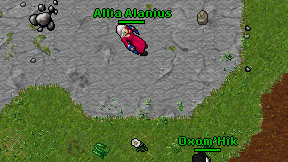 Allia Alanius on screen