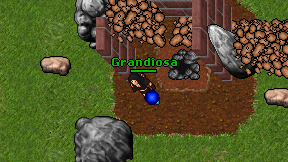 Grandiosa on screen