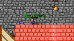 Master gansie on screen