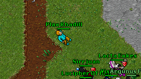 Plax Rhadill on screen