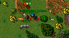 Edlathar Arena on screen