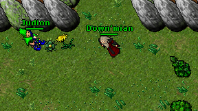 Down'mian on screen