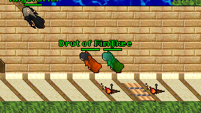 Fir Tree on screen