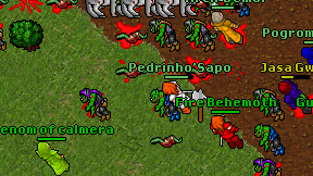 Pedrinho'Sapo on screen