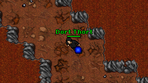 Dort Thort on screen