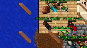 Master Vedir on screen