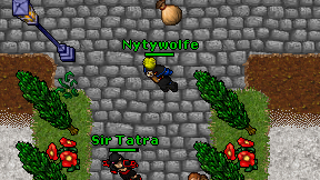 Nytywolfe on screen