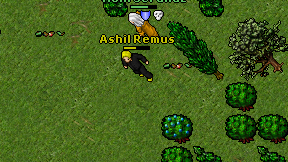 Ashil Remus on screen
