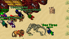 Shokoz Druid on screen
