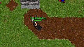 Jasmmin on screen