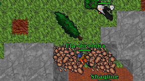 Fla-brzinha on screen
