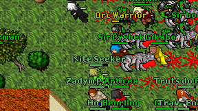 Nite Seeker on screen