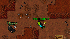 Molle orre on screen