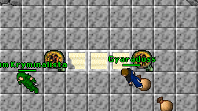 Gyaradoss on screen