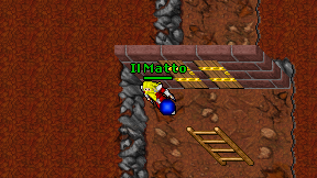 Il Matto on screen