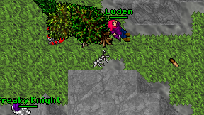 Luden on screen