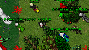 Nentin on screen