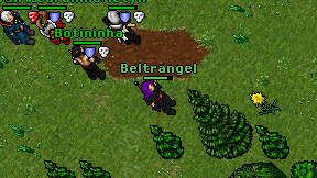 Beltrangel on screen