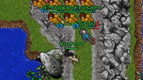 Vinfort on screen
