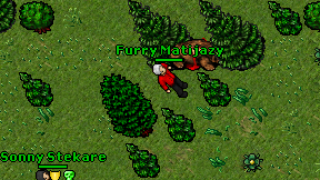 Furry Matijazy on screen