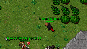 Leon Winor on screen