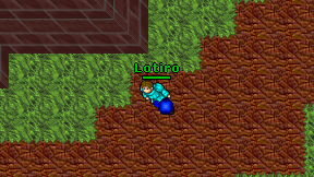 Lotiro on screen