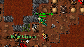 Tortullero on screen