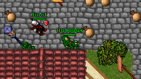 Optopus on screen