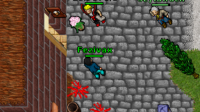 Fezivax on screen