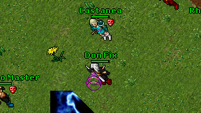 Don Fix on screen