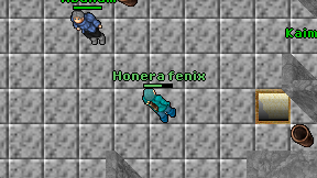 Honera fenix on screen