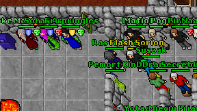 Flash Sorion on screen