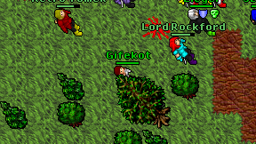 Gifekot on screen