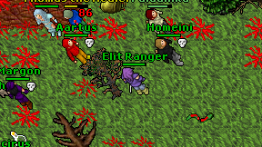 Elit Ranger on screen