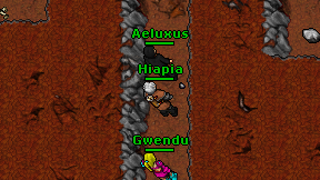 Aeluxus on screen
