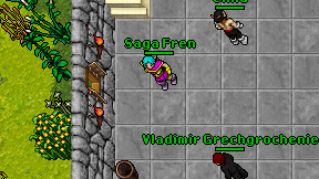 Saga Fren on screen
