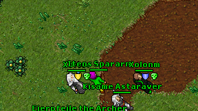 Itens Spararn on screen