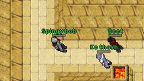 Spingy bob on screen