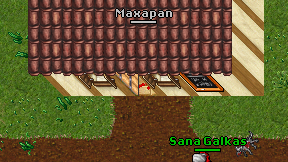 Maxapan on screen