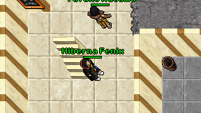 Hiberna Fenix on screen