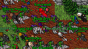 Sokaris on screen
