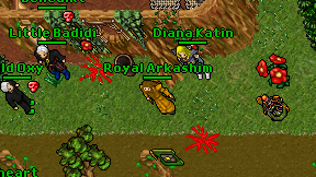 Royal Arkashim on screen