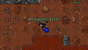 Aragorn Castle on screen