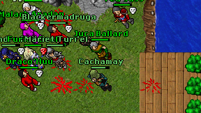 Cachamay on screen