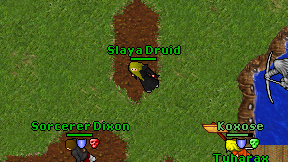 Slaya Druid on screen