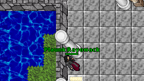 Plaunk Rayowack on screen