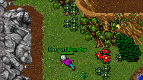 Royal Dusty on screen