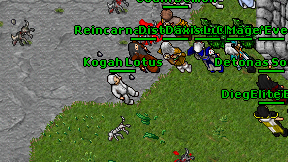 Kogah Lotus on screen